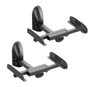 Speaker Mount